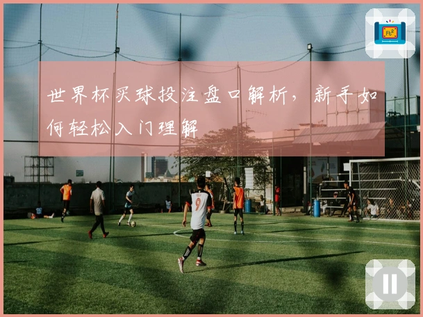 世界杯买球投注盘口解析，新手如何轻松入门理解
