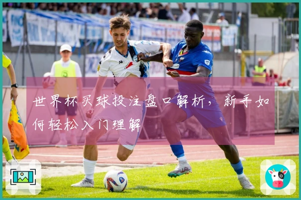 世界杯买球投注盘口解析，新手如何轻松入门理解