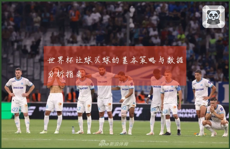 世界杯让球买球的基本策略与数据分析指南