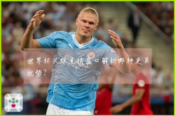 世界杯买球竞猜盘口解析哪种更具优势？