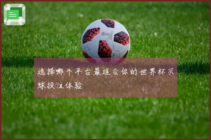 选择哪个平台最适合你的世界杯买球投注体验