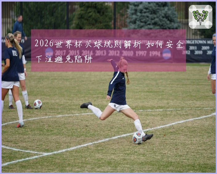 2026世界杯买球规则解析 如何安全下注避免陷阱