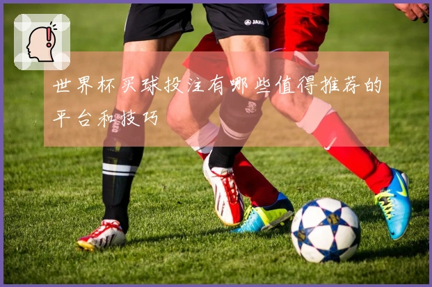 世界杯买球投注有哪些值得推荐的平台和技巧