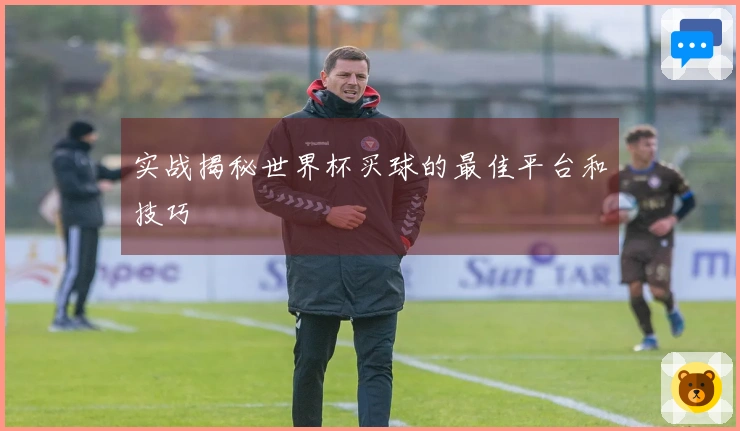 实战揭秘世界杯买球的最佳平台和技巧