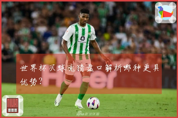 世界杯买球竞猜盘口解析哪种更具优势？