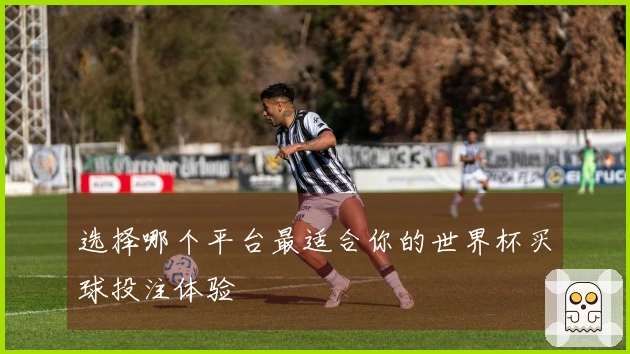 选择哪个平台最适合你的世界杯买球投注体验