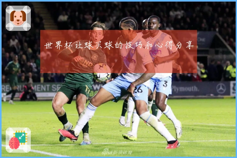 世界杯让球买球的技巧和心得分享